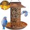 Bird Feeder Weather Resistance Cage Outdoor Refill Solar Night Light  - Bronze