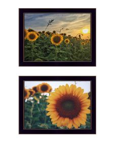 "Midwest Living Collection" 2-Piece Vignette By Donnie Quillen; Ready to Hang Framed Print; Black Frame - as Pic