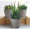 5Pcs Artificial Succulent Cactus Plants; Faux Succulent Cactus Plants with Gray Pots for Home Decor - Grey