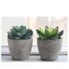 5Pcs Artificial Succulent Cactus Plants; Faux Succulent Cactus Plants with Gray Pots for Home Decor - as picture