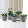 5Pcs Artificial Succulent Cactus Plants; Faux Succulent Cactus Plants with Gray Pots for Home Decor - as picture