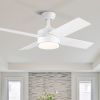 44 In Intergrated LED Ceiling Fan with Black /White  ABS Blade - White