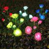 LED Solar Rose Orchid Flower Light Outdoor Garden Waterproof Simulation Lawn Lamp Wedding Party Christmas Decor Landscape Light - 7 head orchid orange