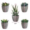 5Pcs Artificial Succulent Cactus Plants; Faux Succulent Cactus Plants with Gray Pots for Home Decor - as picture