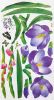 Flowering Garden - Wall Decals Stickers Appliques Home Decor - HEMU-HL-1256